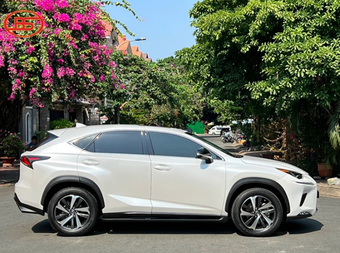 NX 300