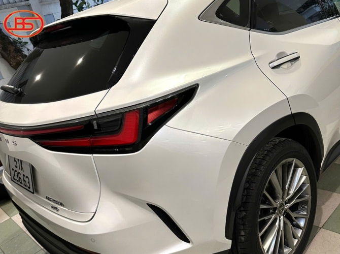 Siêu phẩm NX350 model 2023 như mới