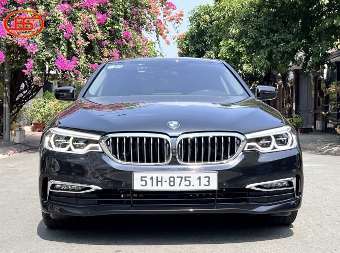 BMW 530i sản xuất 2019 (29 ngàn Km)