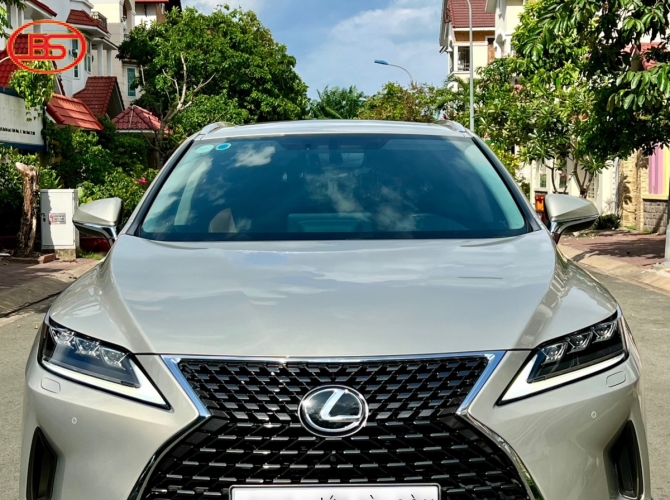 RX 300 (sản xuất 2021) bản SE 