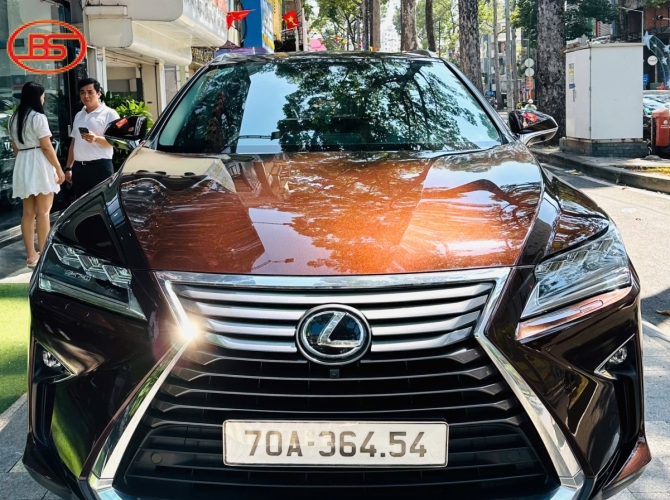 Siêu phẩm RX300 2019 Nâu quá đẹp 82.000km