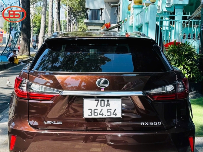 Siêu phẩm RX300 2019 Nâu quá đẹp 82.000km