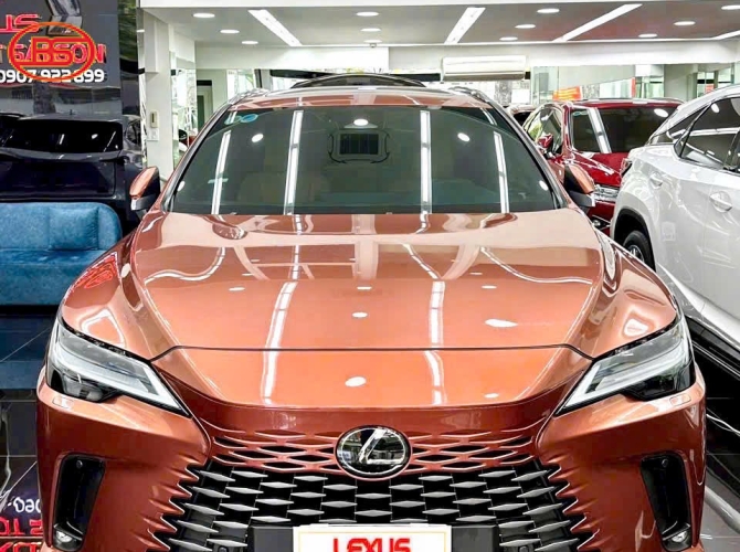 Siêu phẩm RX350 premium 2023 với màu ghi hồng 