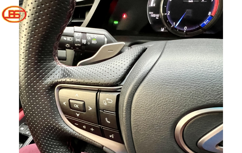ES250 E-sport (Sx 2022) - 18 ngàn Km