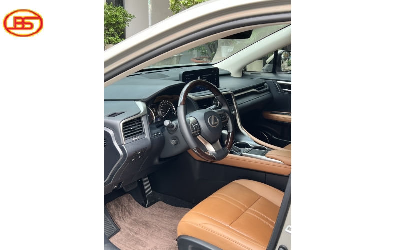 RX 300 (sản xuất 2021) bản SE 