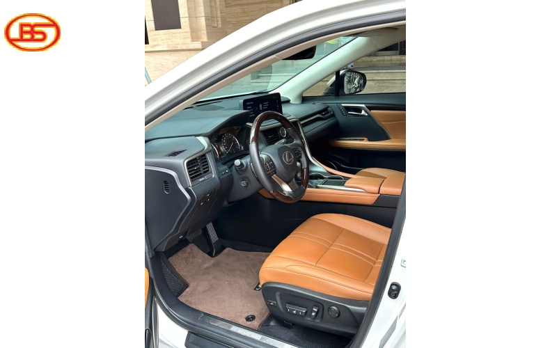 Siêu phẩm RX300 2021 lướt 42.000km