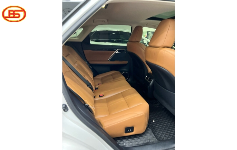 Lexus RX300 2021 trắng nội thất nâu