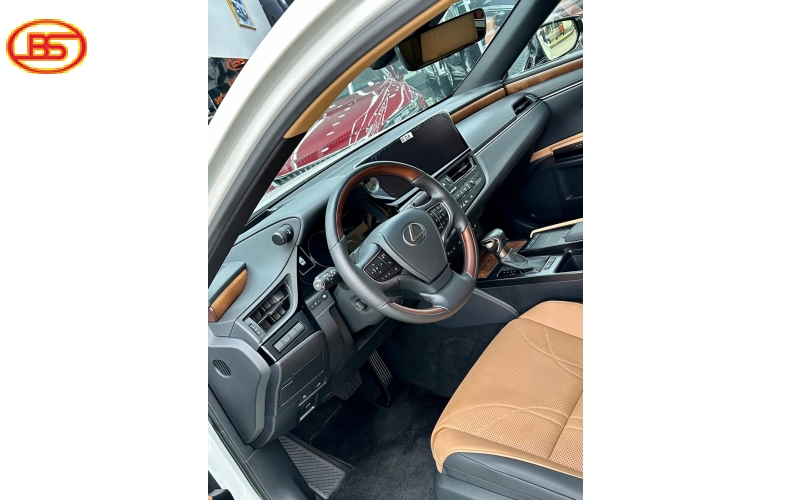 Siêu phẩm ES250 2021 lướt 19000km Trắng