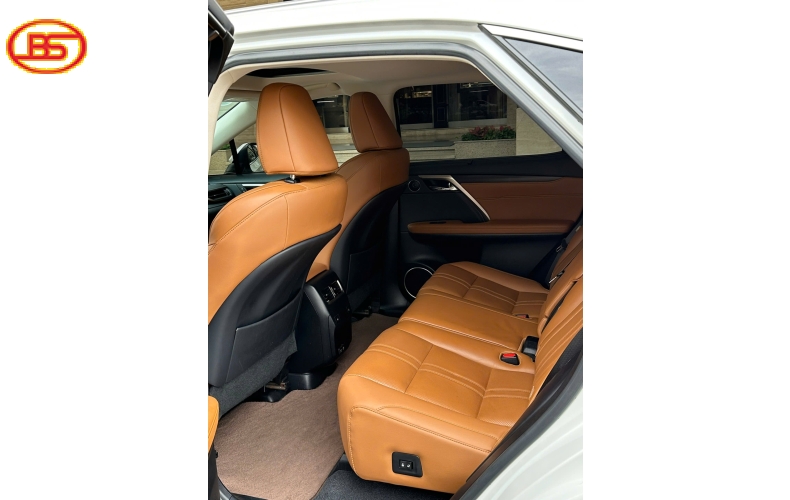 Siêu phẩm RX300 2021 lướt 42.000km