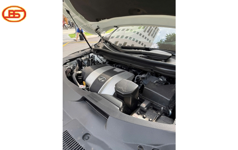Siêu phẩm siêu lướt RX350L 10.000km 
