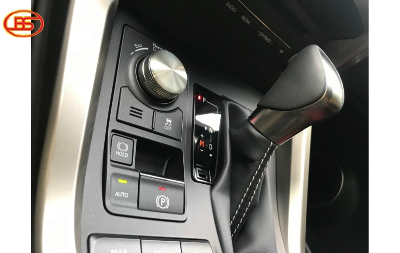 NX 300