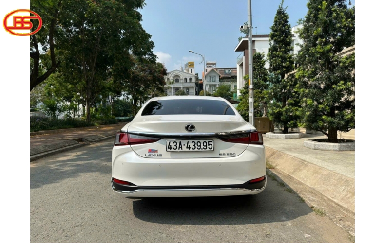 ES250 Siêu lướt (2018)