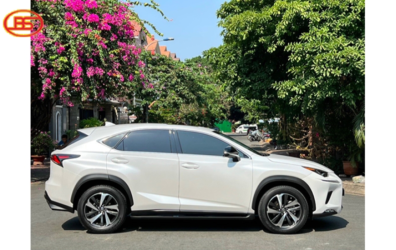 NX 300