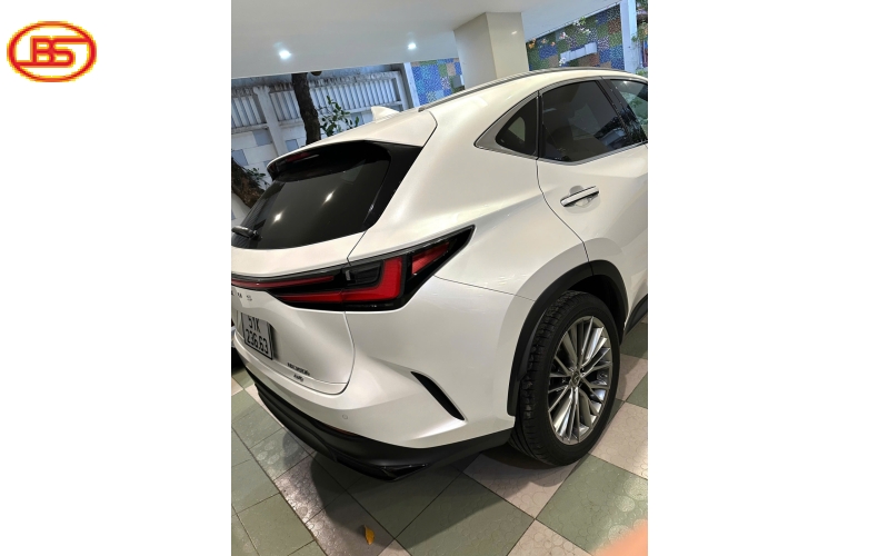 Siêu phẩm NX350 model 2023 như mới