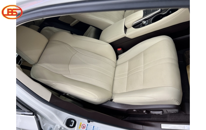 LEXUS RX 350 (sản xuất 2019) SIÊU LƯỚT