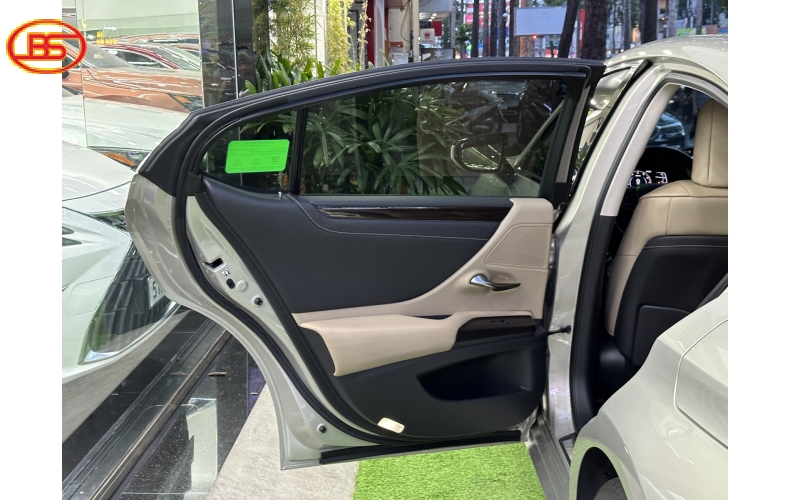 ES250 (sản xuất 2019) siêu lướt 