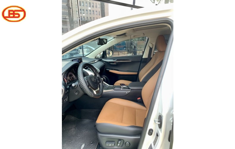 Lexus NX300 2021 siêu siêu lướt