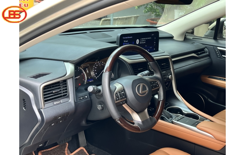 RX 300 (sản xuất 2021) bản SE 