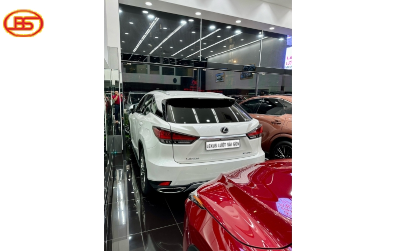Lexus RX300 2021 trắng nội thất nâu