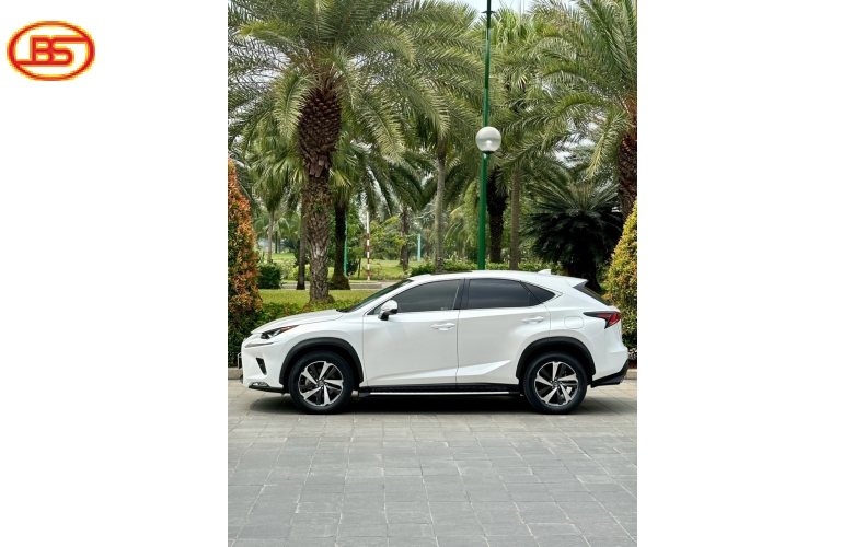 Lexus NX 300 2020 trắng ngọc trai siêu đẹp
