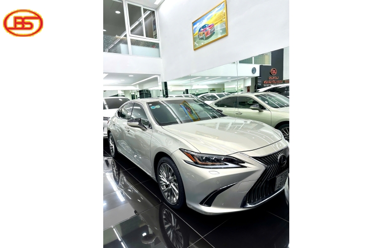 Lexus ES250 2020 dòng Sedan sang trọng