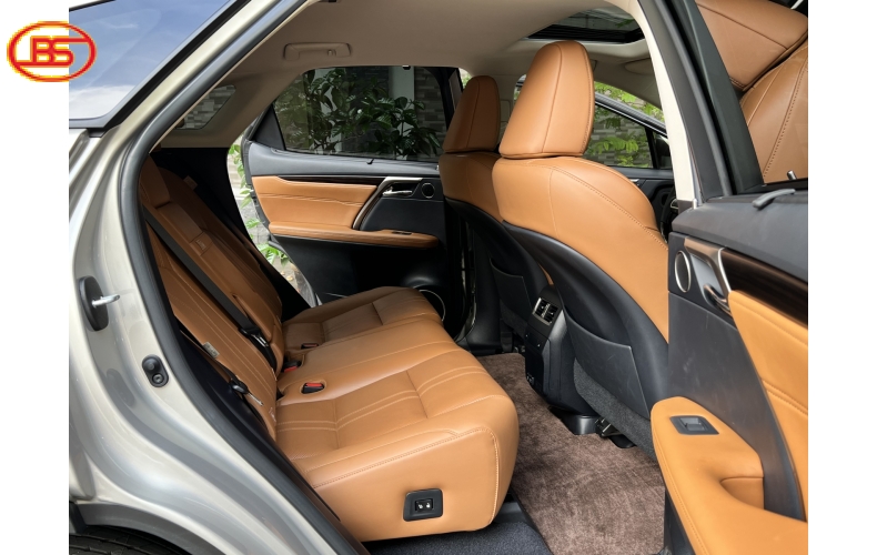 RX 300 (sản xuất 2021) bản SE 
