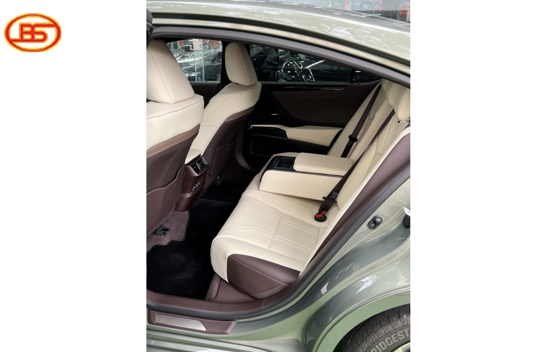 Es 250 ( Sx2020) siêu lướt chỉ 3 ngàn KM