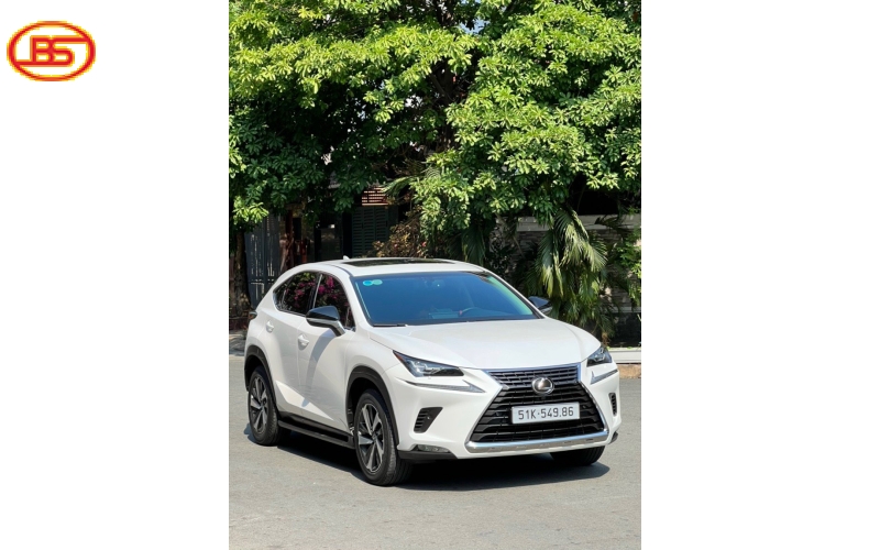 NX 300