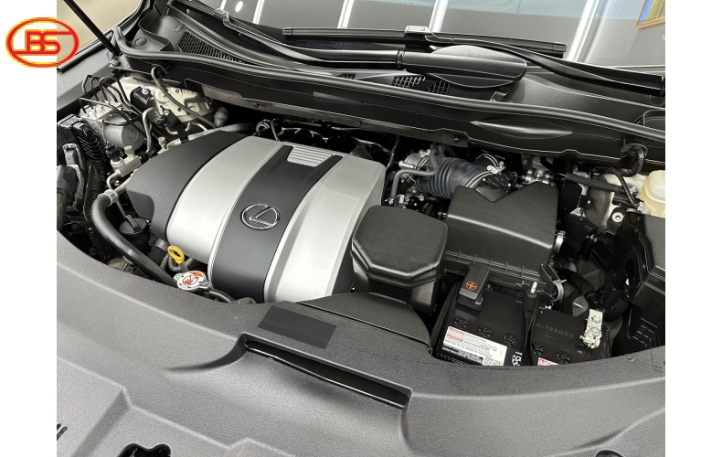 RX 350L ( 2021) siêu lướt 22 ngàn Km
