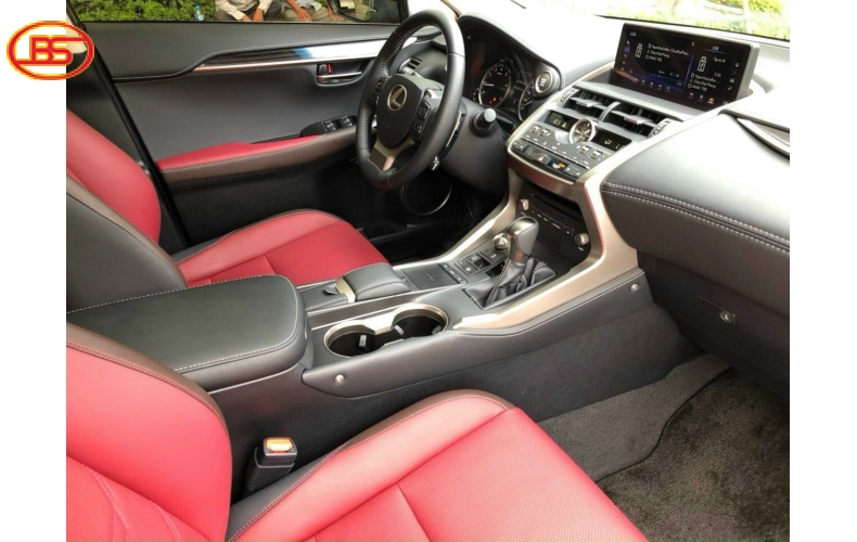 Lexus NX300 2019 trắng nội thất đỏ