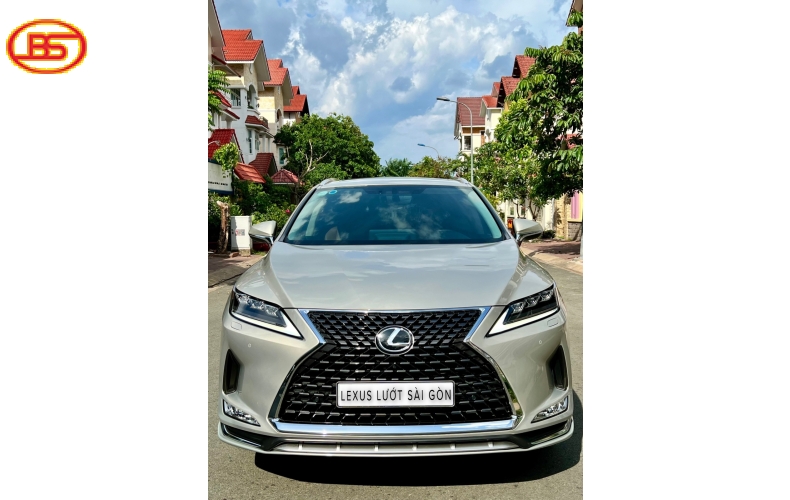 RX 300 (sản xuất 2021) bản SE 