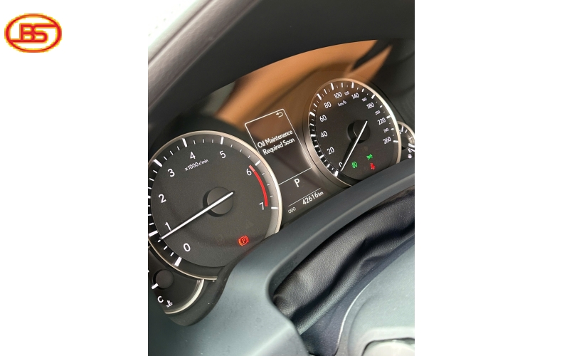 Siêu phẩm RX300 2021 lướt 42.000km