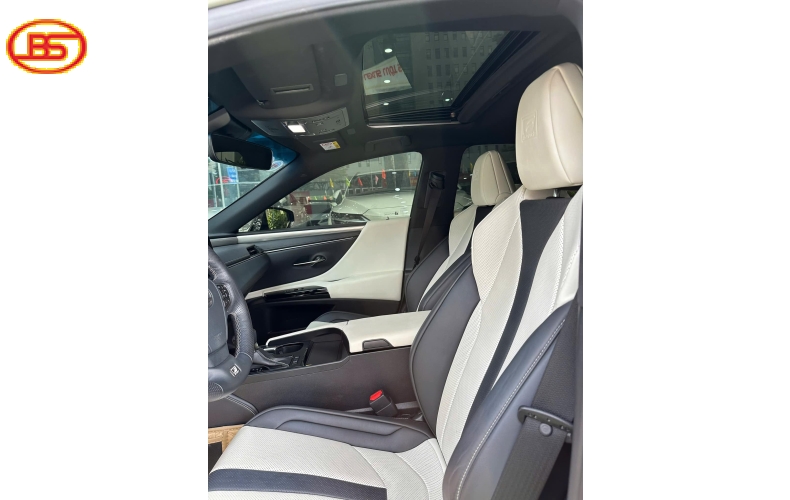 Siêu phẩm ES250 2023 Fsport mới cập bến