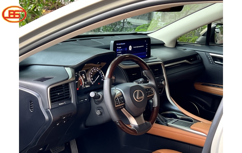 RX 300 (sản xuất 2021) bản SE 