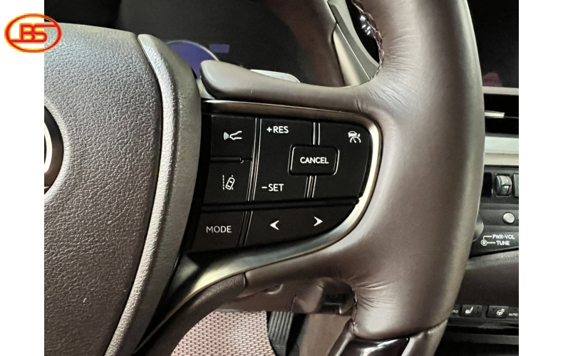 Lexus ES250 2019 (8 Ngàn KM)