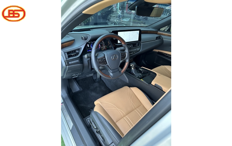 ES250 ( Sản xuất 2023) siêu lướt  1300km