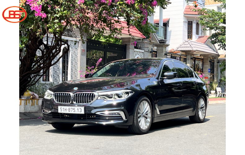 BMW 530i sản xuất 2019 (29 ngàn Km)