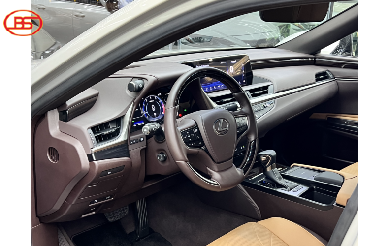 Lexus ES250 2019 (8 Ngàn KM)