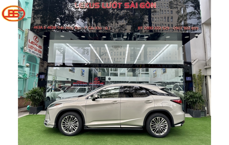 RX 300 (sản xuất 2021) bản SE 