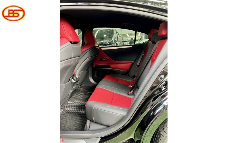 ES250 E-sport (Sx 2022) - 18 ngàn Km