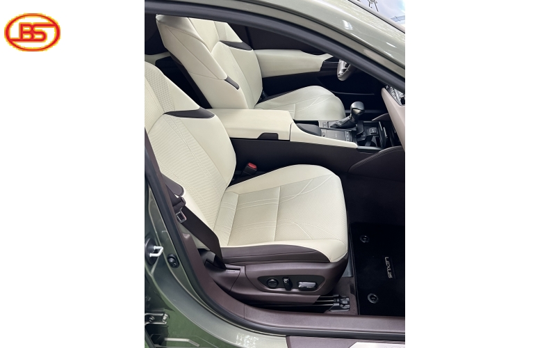 Es 250 ( Sx2020) siêu lướt chỉ 3 ngàn KM
