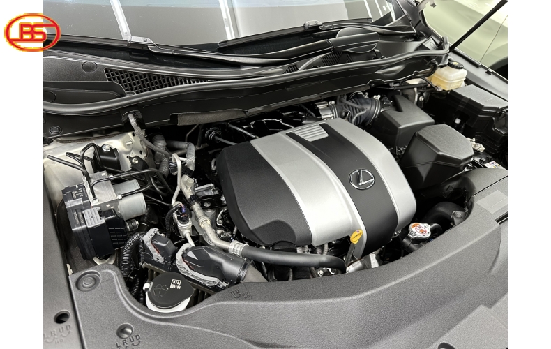 RX 350L ( 2021) siêu lướt 22 ngàn Km