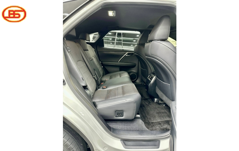 RX300 FSPORT ( Sản xuất 2022) mới nhất chỉ hơn 10 ngàn Km
