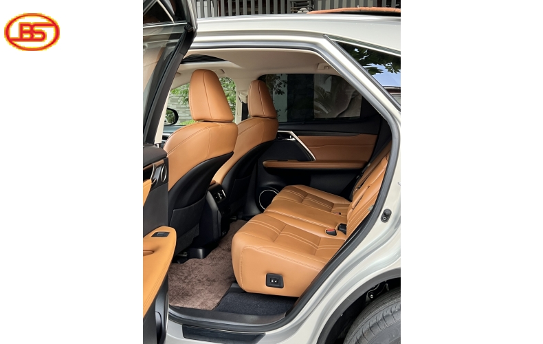 RX 300 (sản xuất 2021) bản SE 