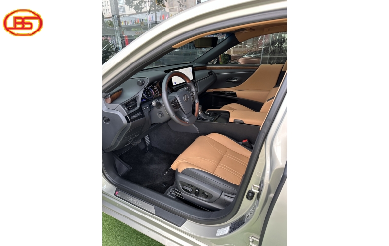 ES250 ( Sản xuất 2023) siêu lướt  1300km