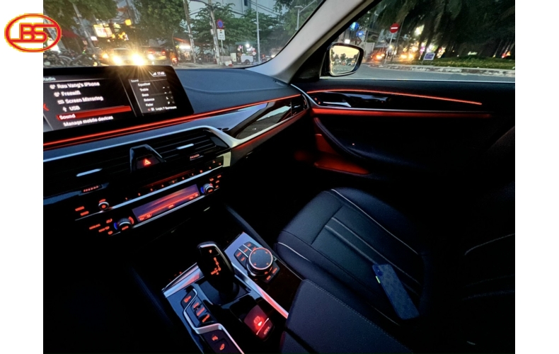BMW 530i sản xuất 2019 (29 ngàn Km)