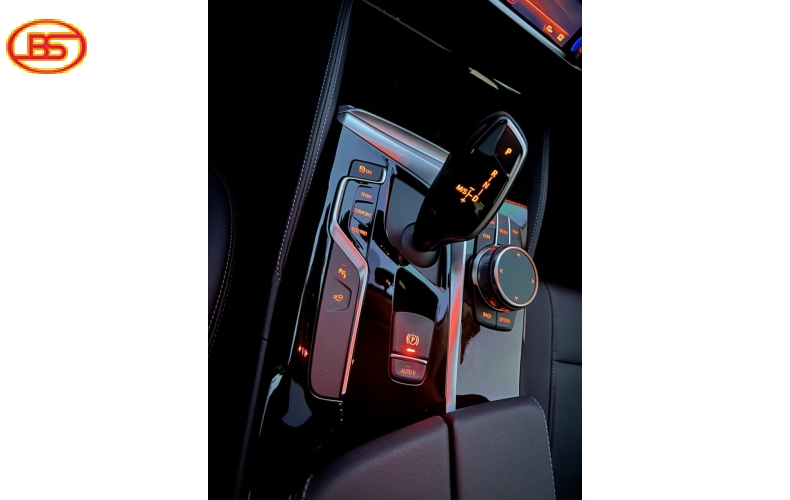 BMW 530i sản xuất 2019 (29 ngàn Km)