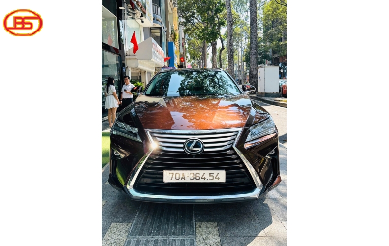 Siêu phẩm RX300 2019 Nâu quá đẹp 82.000km