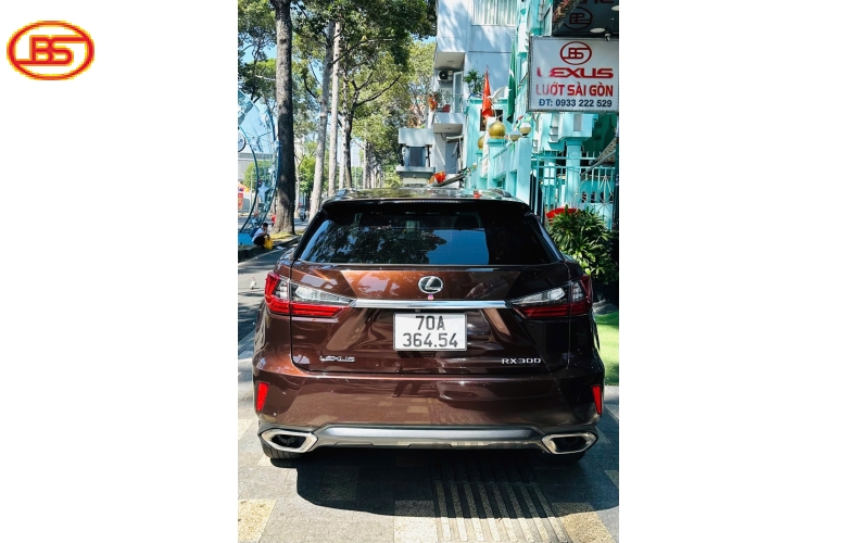 Siêu phẩm RX300 2019 Nâu quá đẹp 82.000km