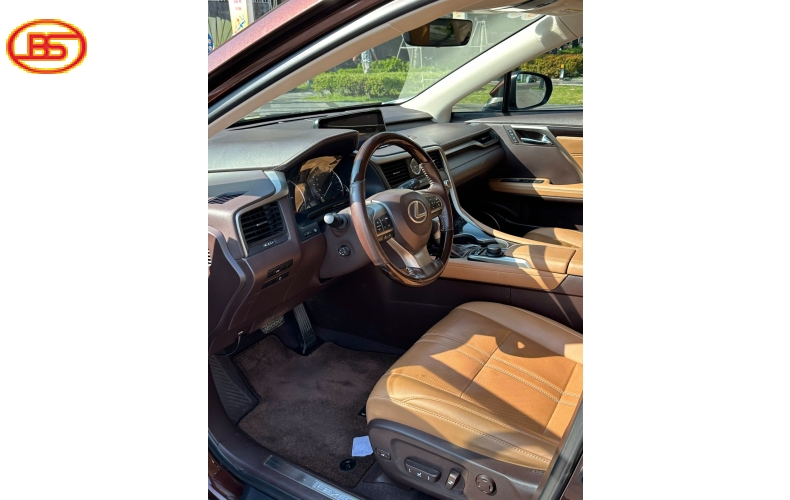 Siêu phẩm RX300 2019 Nâu quá đẹp 82.000km